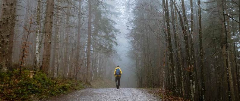 Il potere distensivo della natura sulla mente